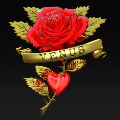 Venus (Boys Noize Rework)'s cover