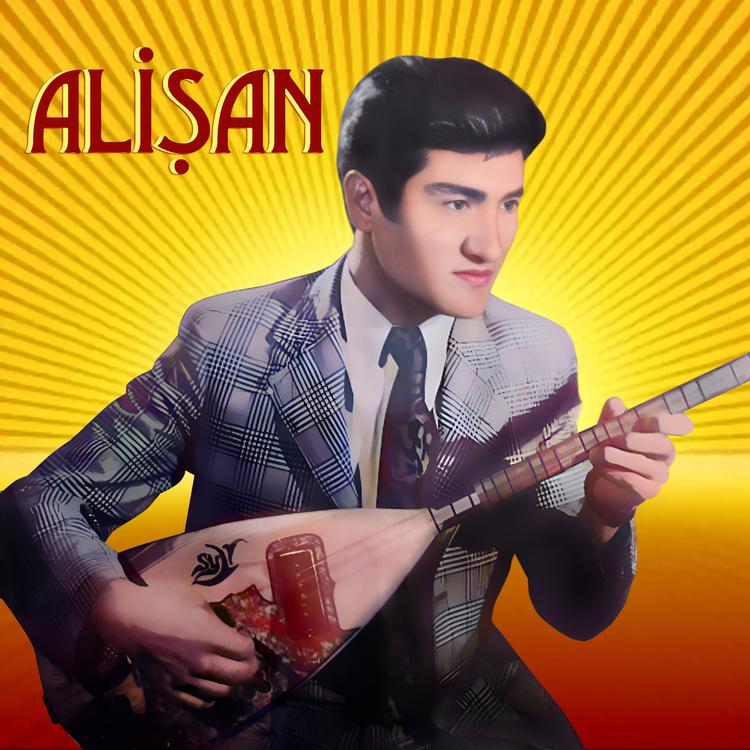 Ali San's avatar image