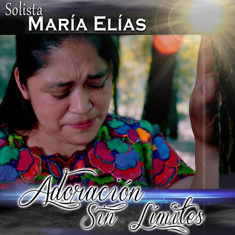 María Elías's avatar image