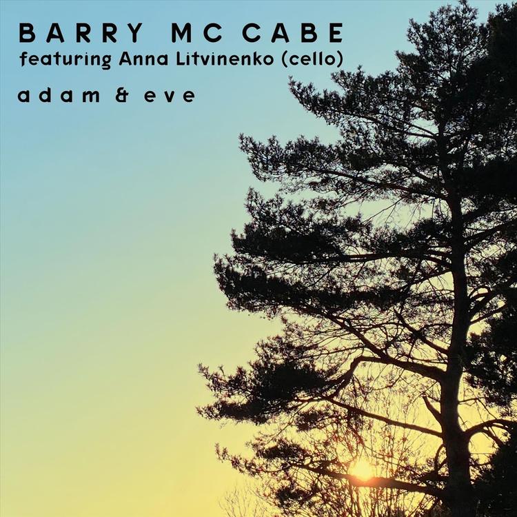 Barry Mc Cabe's avatar image