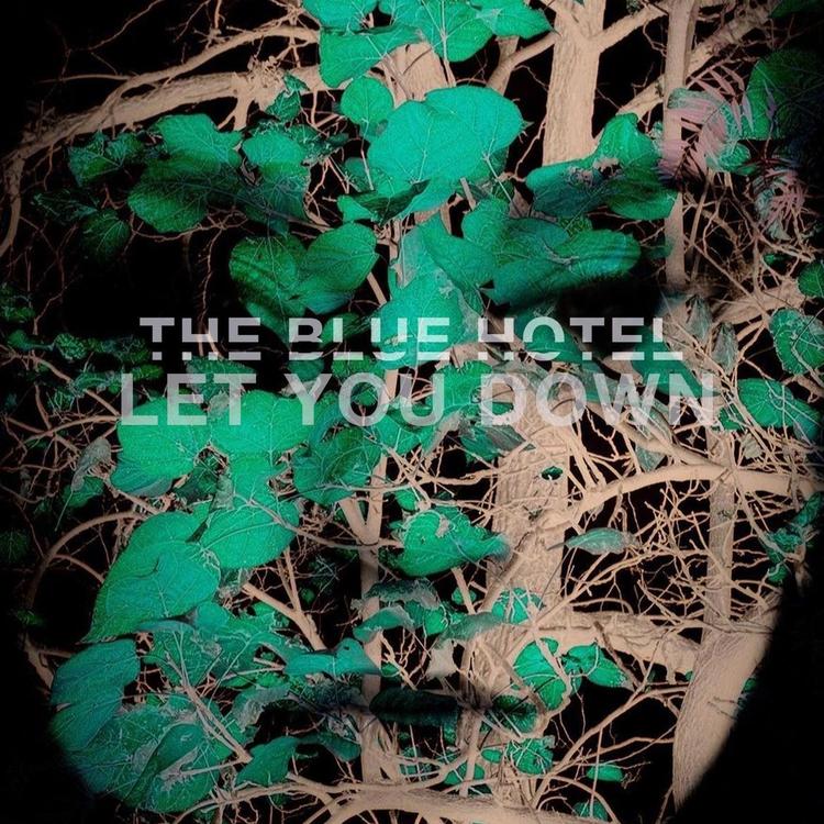 The Blue Hotel's avatar image