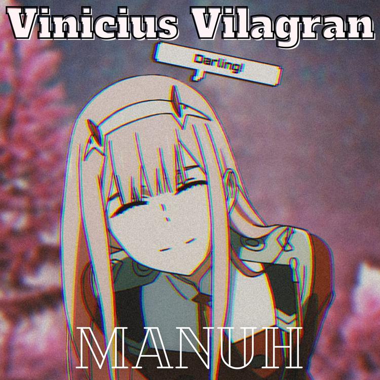 Vinicius vilagran's avatar image