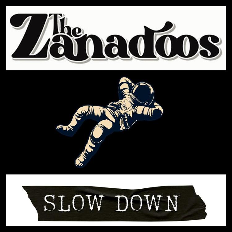 The Zanadoos's avatar image