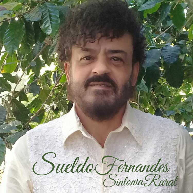 Suêldo Fernandes's avatar image
