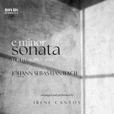 Flute Sonata in E Minor BWV 1034 (Arr. For Piano by Irene Cantos)'s cover