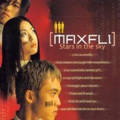 Maxfli's cover