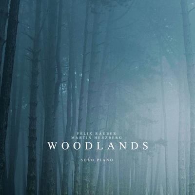 Woodlands (Solo Piano) By Felix Räuber, Martin Herzberg's cover