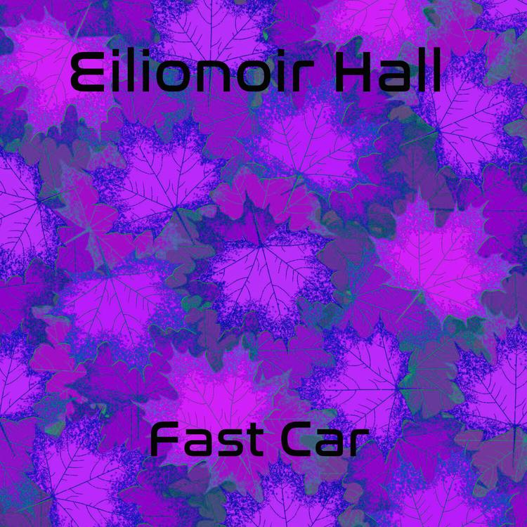 Eilionoir Hall's avatar image