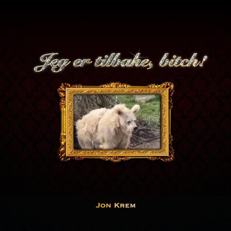 Jon Krem's avatar image