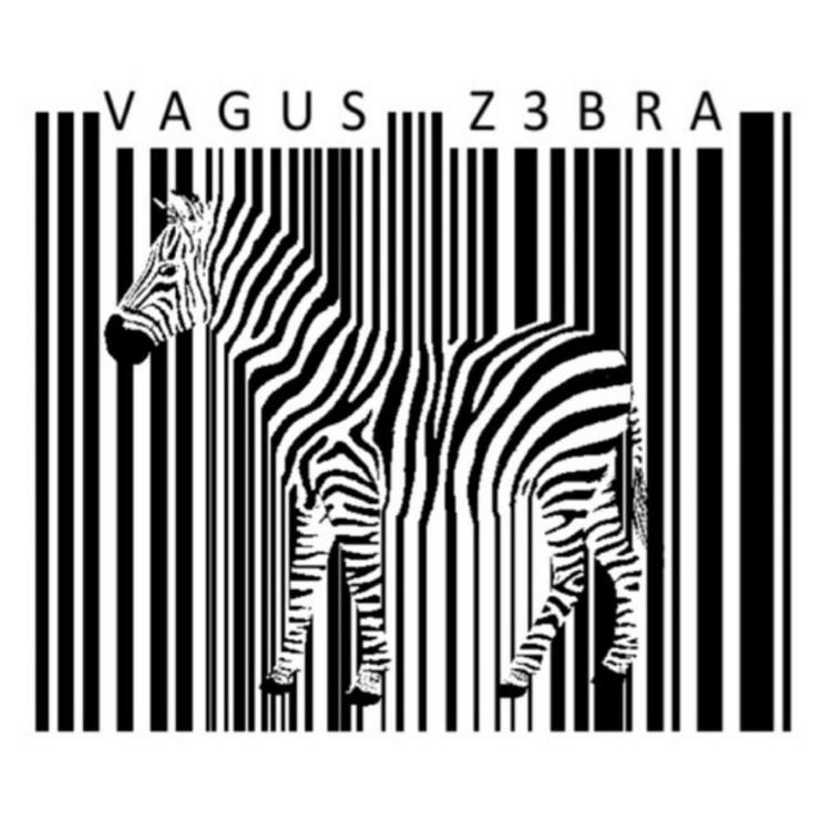 Vagus's avatar image