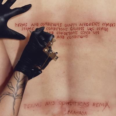 Terms and Conditions (The Remixes)'s cover