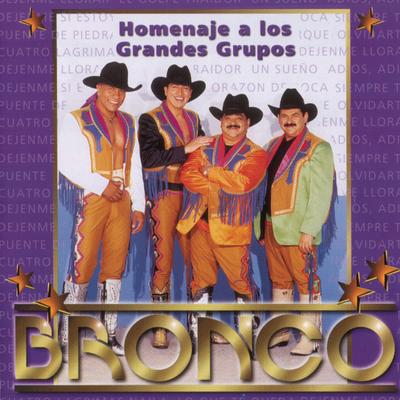 Déjenme Llorar By Bronco's cover