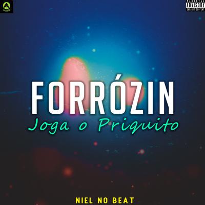 Forrózin Joga o Priquito's cover