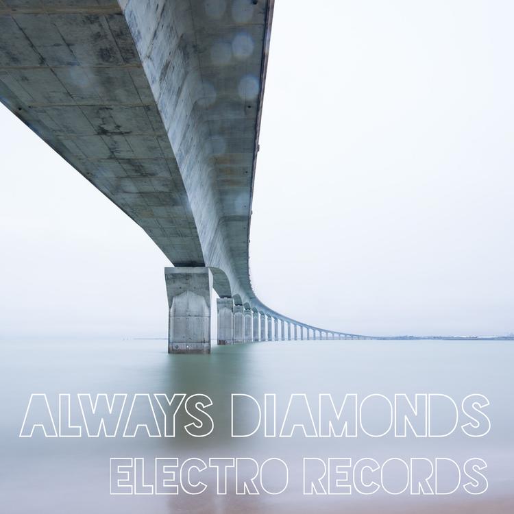 Electro Records's avatar image
