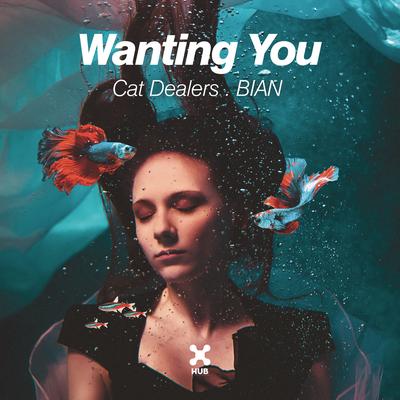 Wanting You By Cat Dealers, Bian's cover