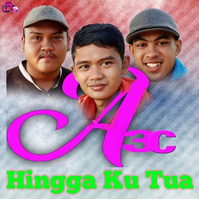 Hingga Ku Tua (Acoustic)'s cover