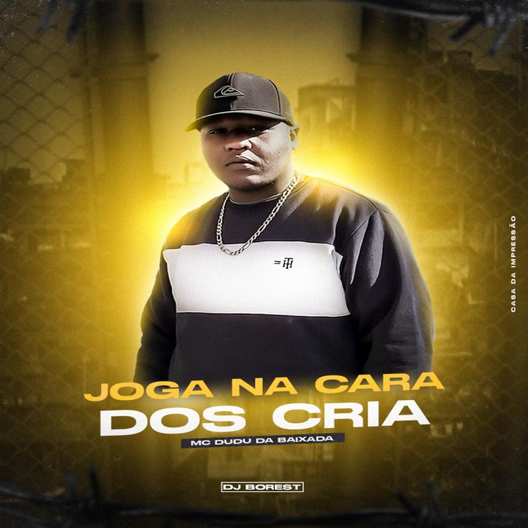 Mc Dudu da baixada's avatar image