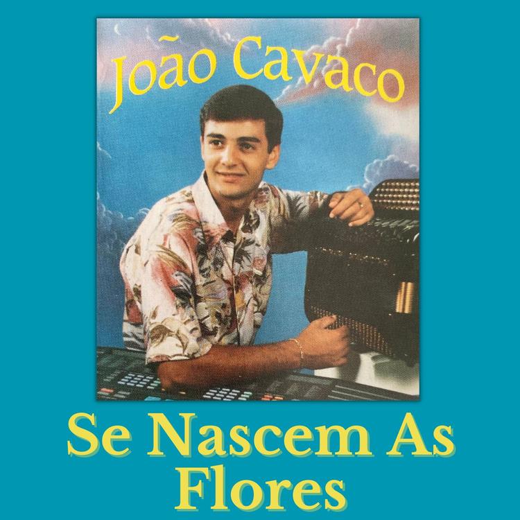 João Cavaco's avatar image