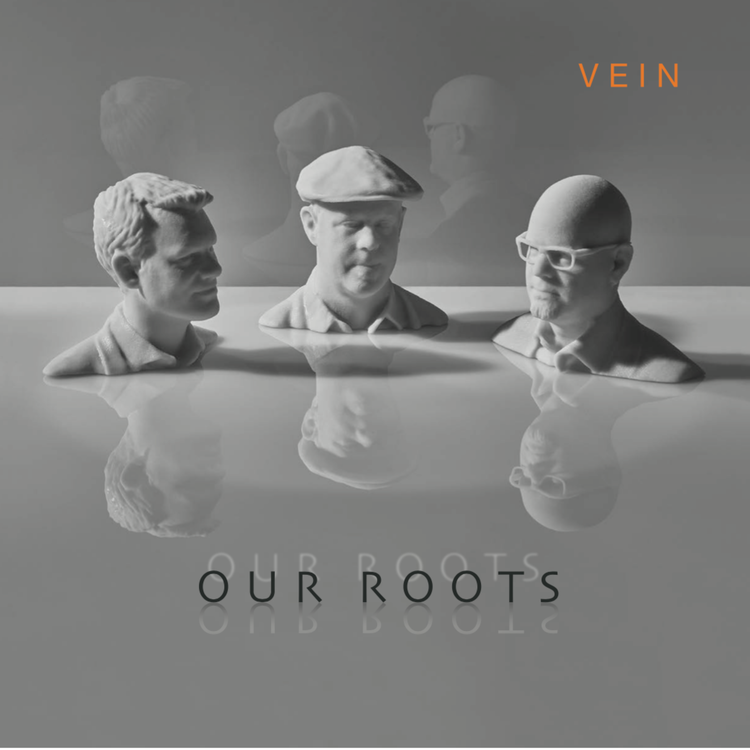 VEIN Trio's avatar image