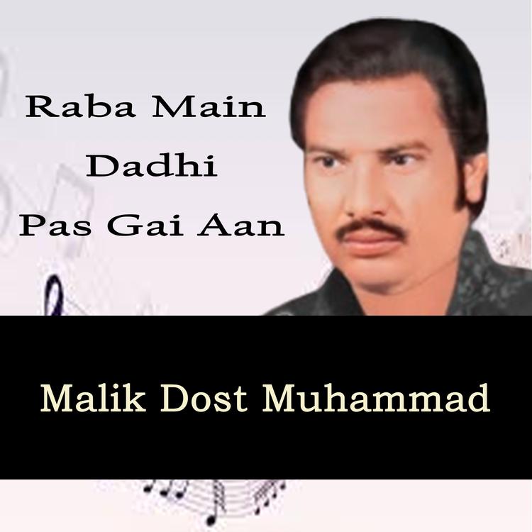 Malik Dost Muhammad's avatar image