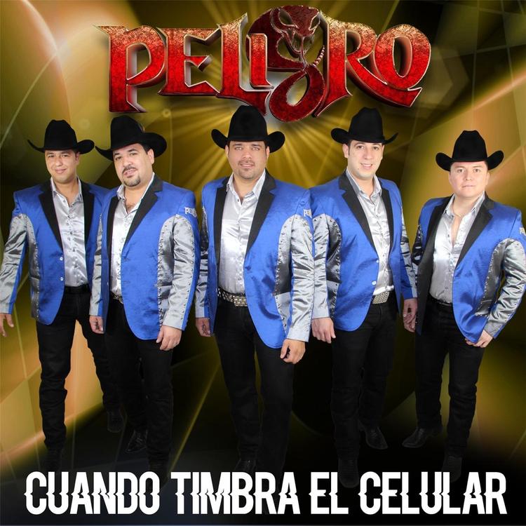 Peligro Norteño's avatar image