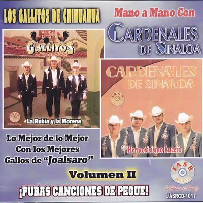 Puras Canciones de Pegue (Vol. 2)'s cover