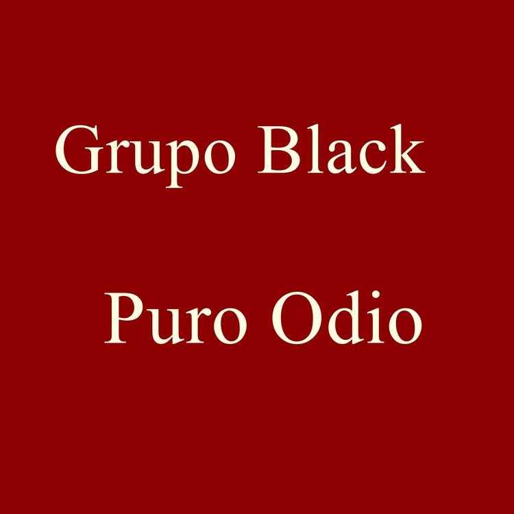 Grupo Black's avatar image