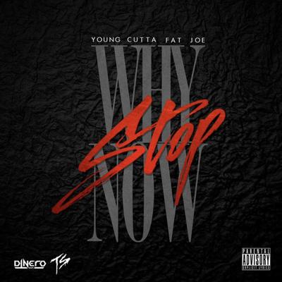 Why Stop Now By Cutta, Fat Joe's cover