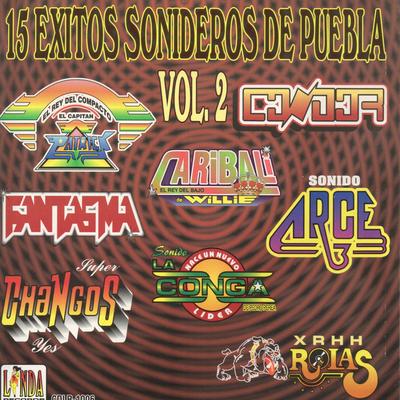 15 Exitos Sonideros De Puebla  Vol. 2's cover