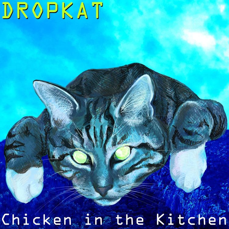 Dropkat's avatar image