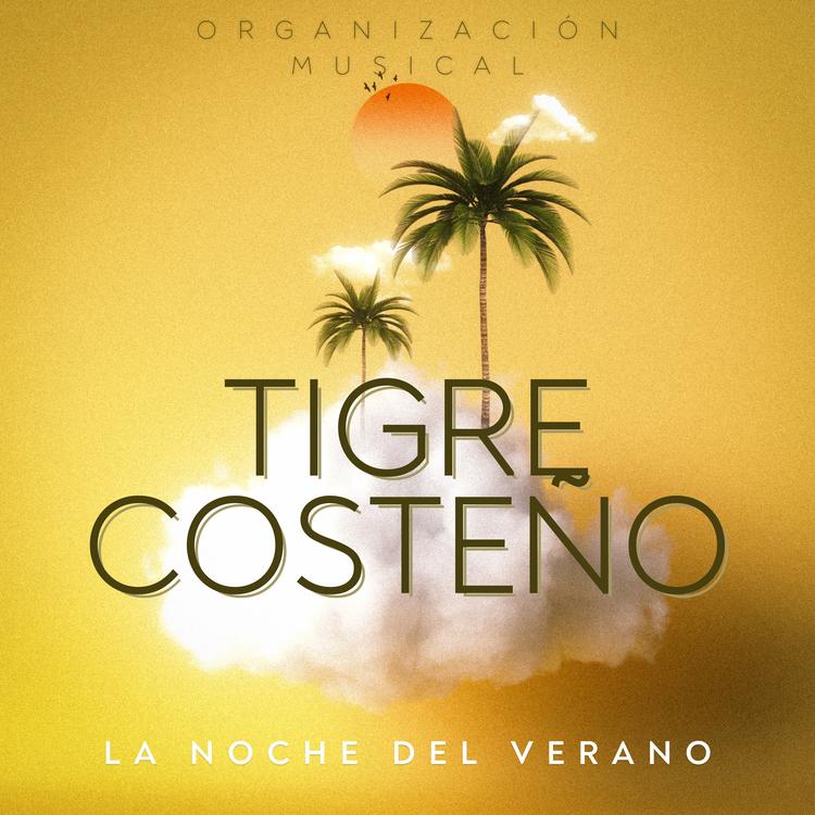 Organización Musical Tigre Costeño's avatar image