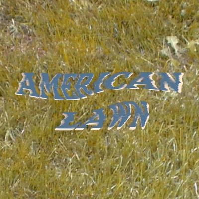 American Lawn's cover