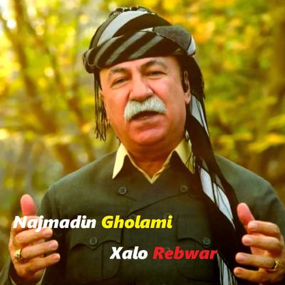 Najmadin Gholami's cover