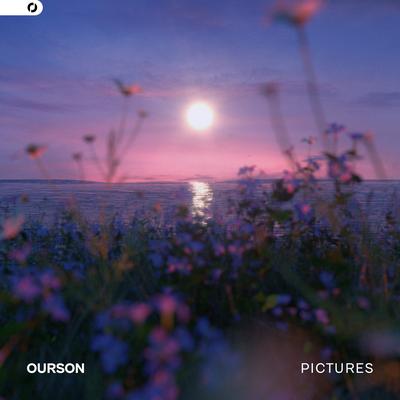 Pictures By Ourson's cover