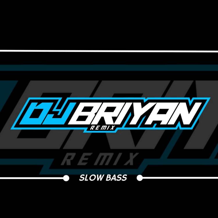 Briyan Remix's avatar image
