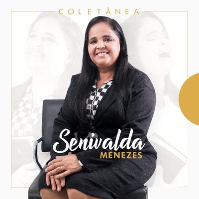 Não Me Deixes Cair By Senivalda Menezes's cover