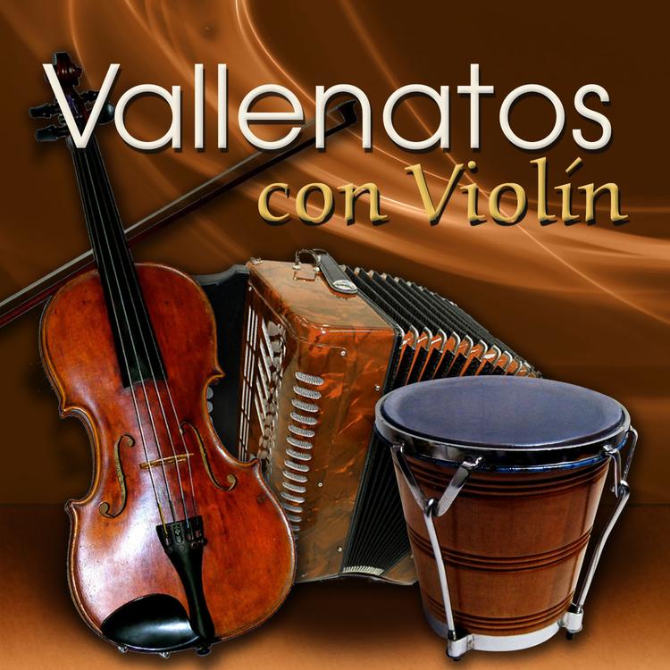 Violines de Valledupar's avatar image