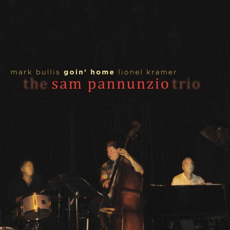 Sam Pannunzio Trio's avatar image