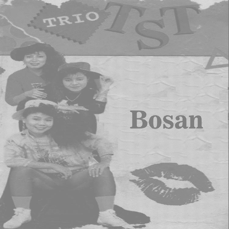 Trio TST's avatar image