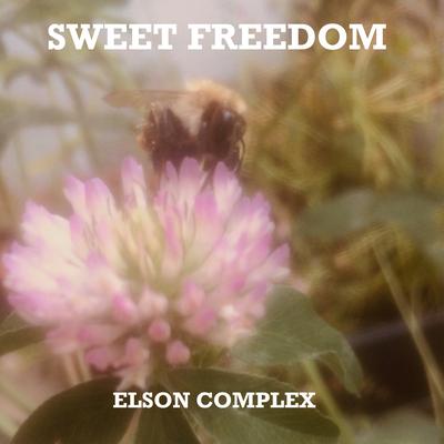 Sweet Freedom By Elson Complex's cover