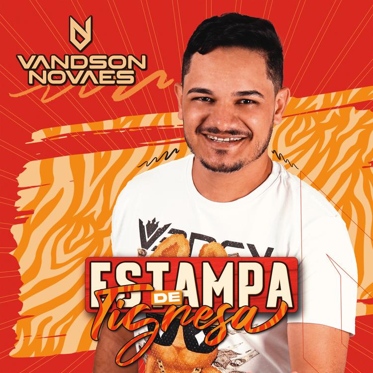 VANDSON NOVAES's avatar image