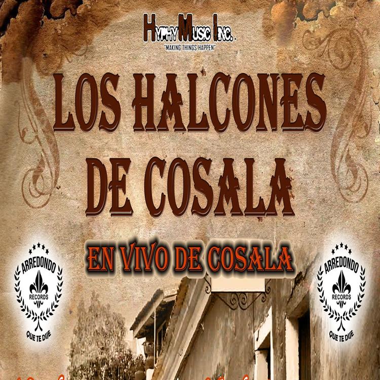 Los Halcones De Cosala's avatar image