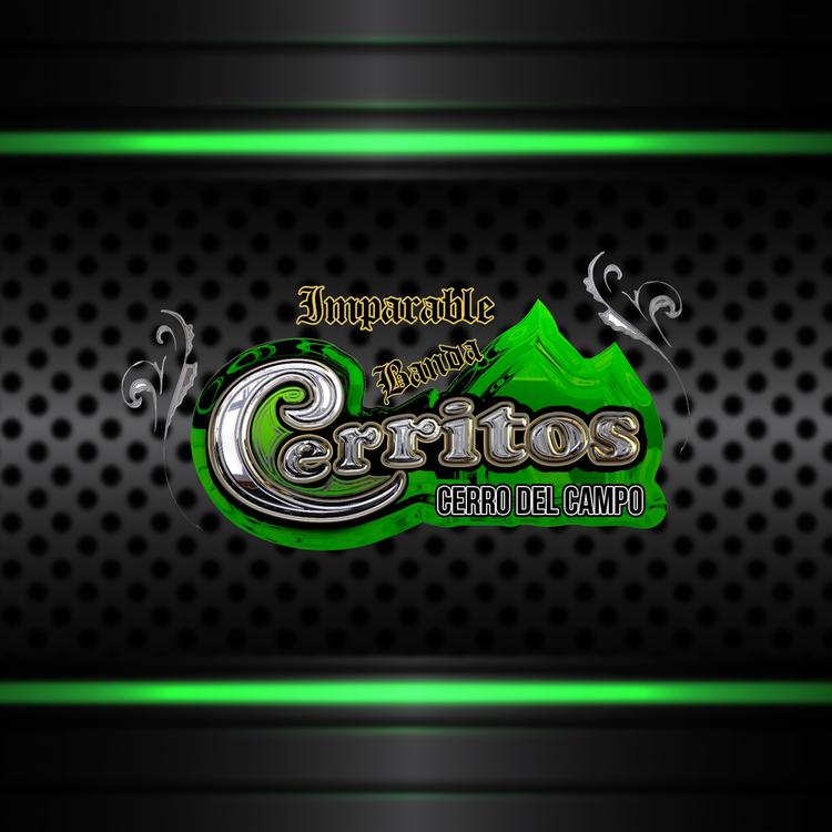 Imparable Banda Cerritos's avatar image