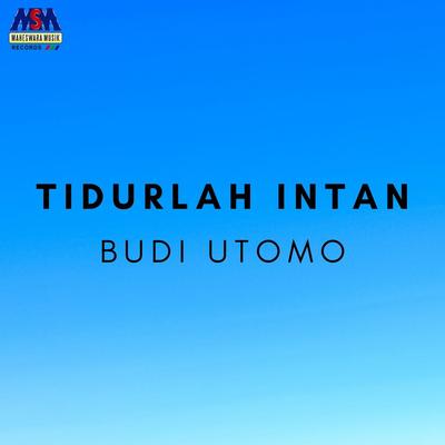 Tidurlah Intan's cover