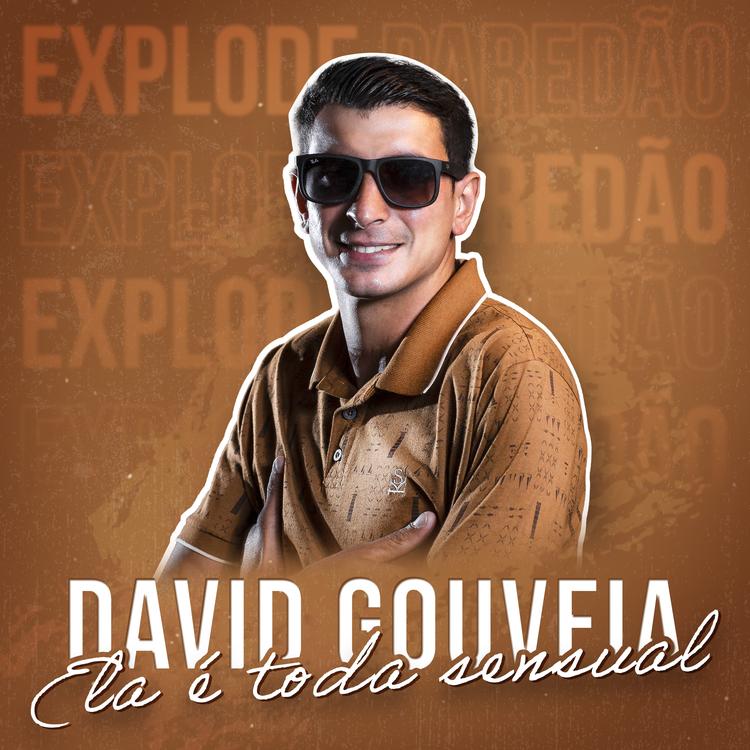 David Gouveia's avatar image