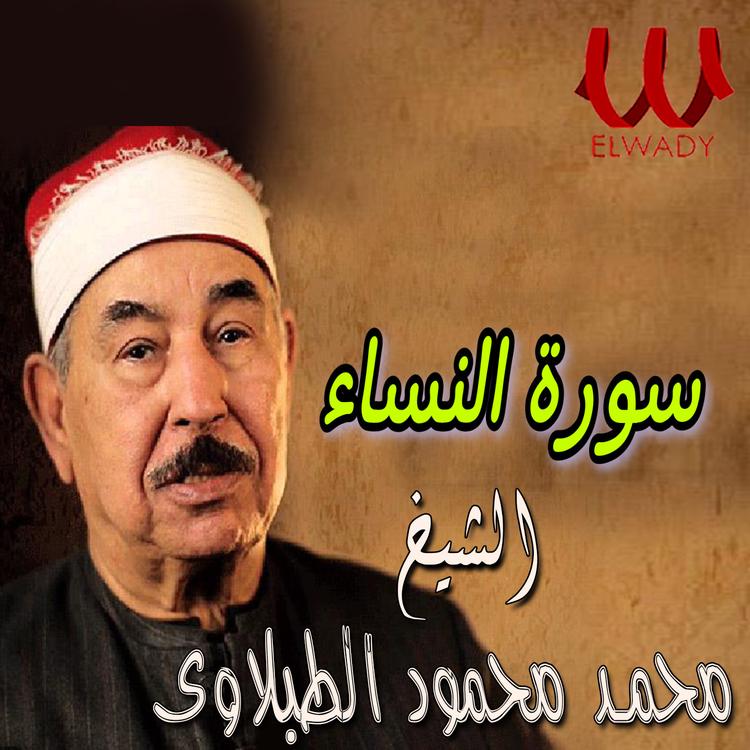 Sheikh Mohamed Mahmoud El Tablawy's avatar image