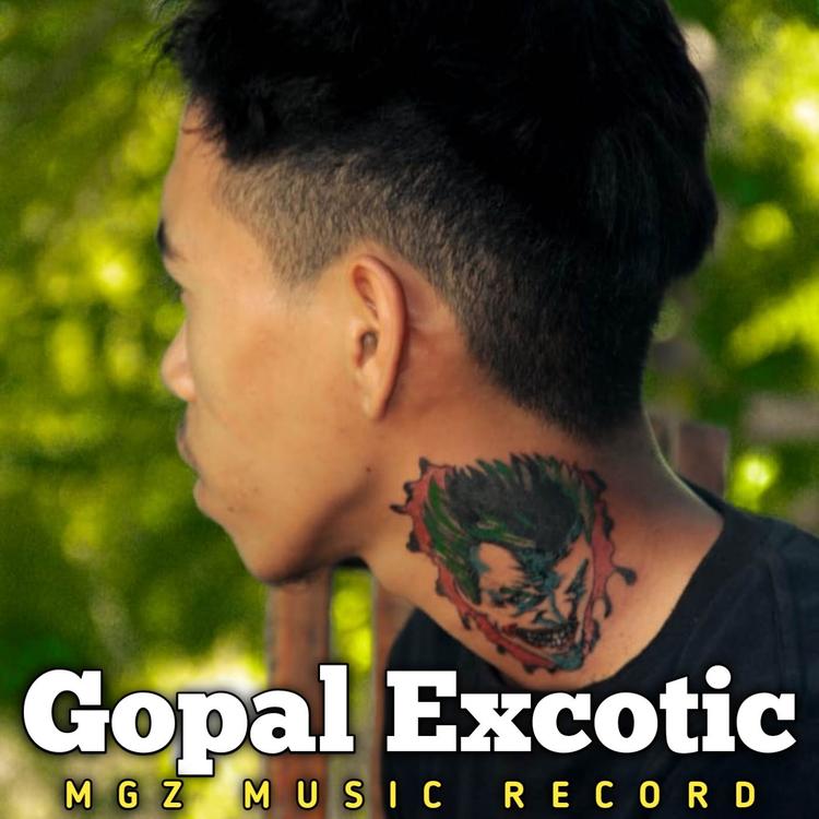 Gopal Excotic's avatar image