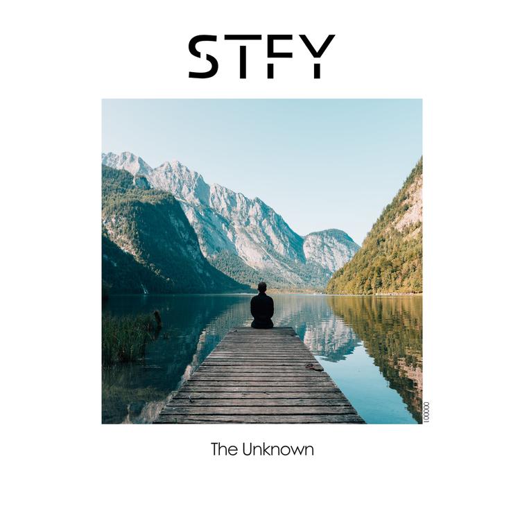 Stfy's avatar image