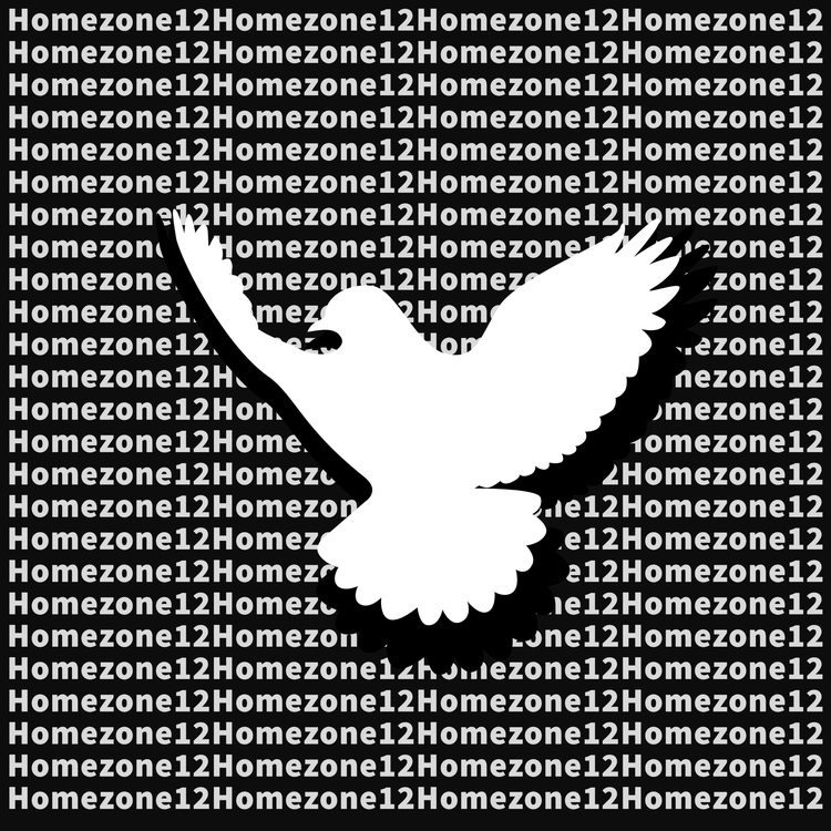 Homezone12's avatar image