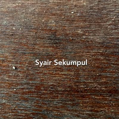 Busyro Lana - Syair Sekumpul ?'s cover